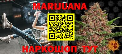 трава Моздок