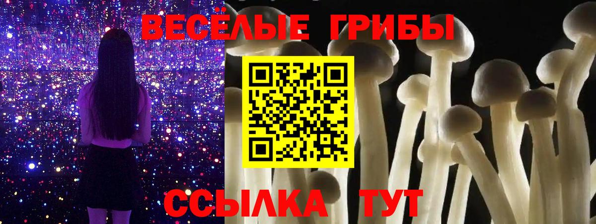 Сосновоборск  Псилоцибиновые грибы прущие грибы  Вход с VPN 